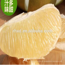Comprar pomelo de pomelo fresco padrão de exportação chinês